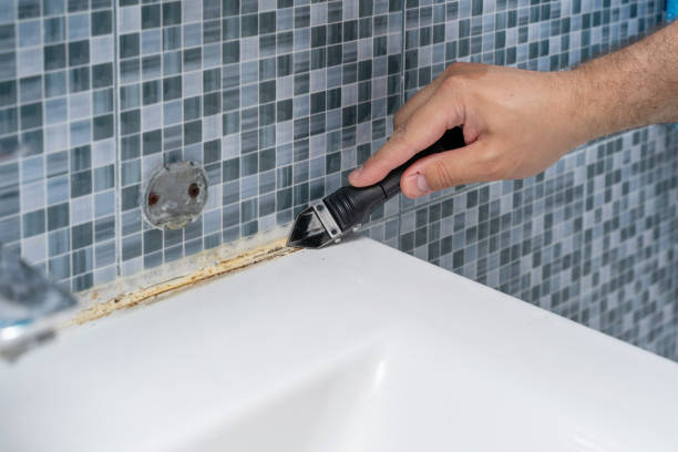 Home Mold Removal in Dulce, NM